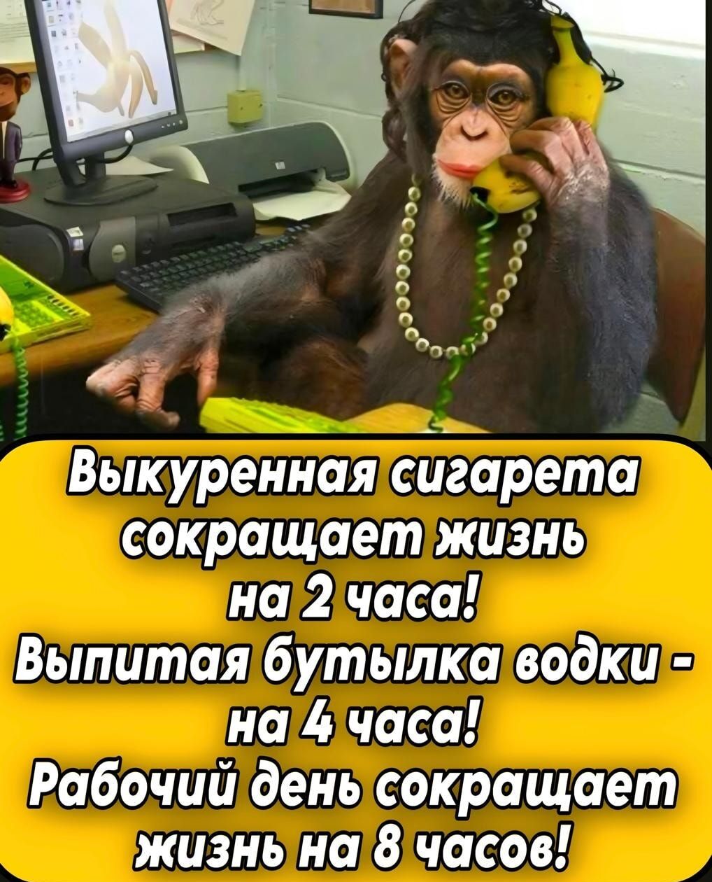 Выкуренная сигарета сокращает жизнь на 2 часа! Выпитая бутылка водки - на 4 часа! Рабочий день сокращает жизнь на 8 часов!