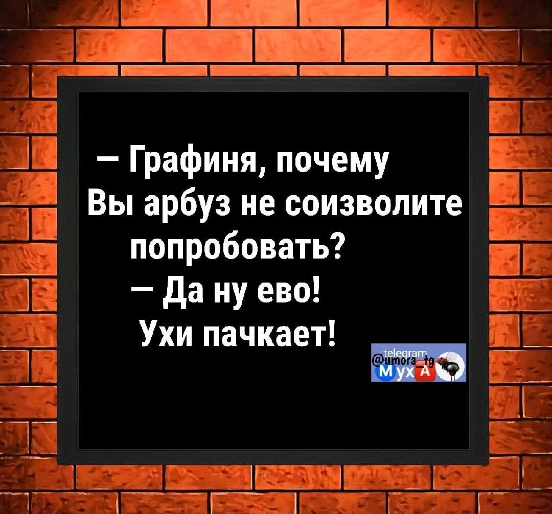 — Графиня, почему Вы арбуз не соизволите попробовать? — Да ну ево! Ухи пачкает!