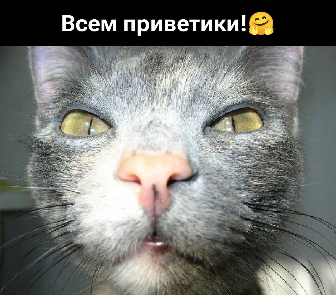 Всем приветики!