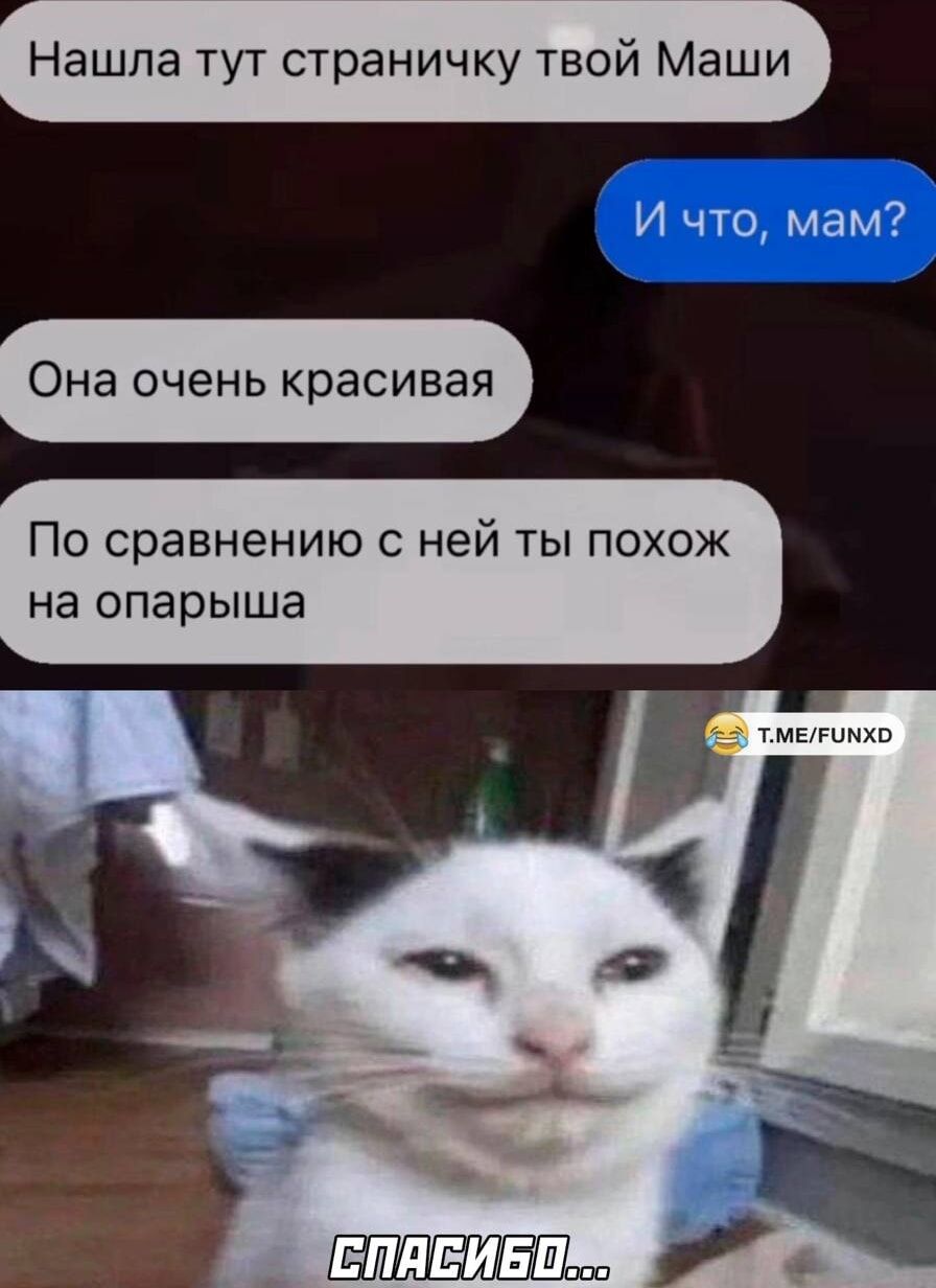 Нашла тут страничку твой Маши
И что, мам?
Она очень красивая
По сравнению с ней ты похож на опарыша
СПАСИБО...
