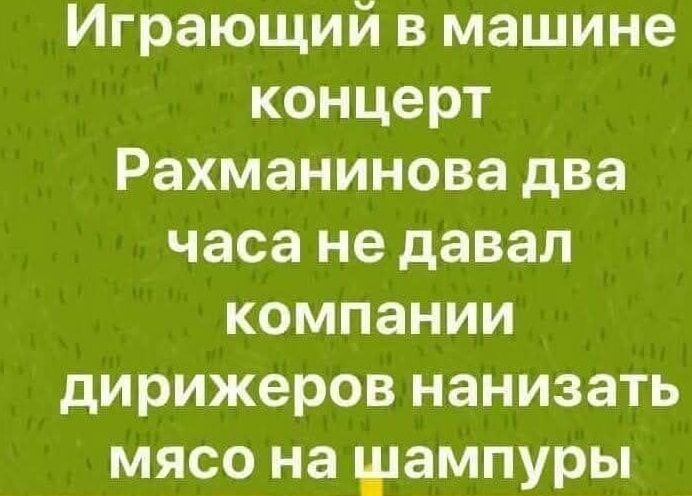 Игравший в машине концерт Рахманинова два часа не давал компании дирижеров нанизать мясо на шампуры