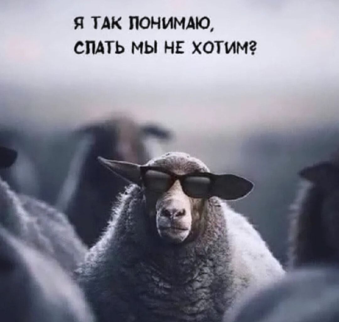 Я так понимаю, спать мы не хотим?