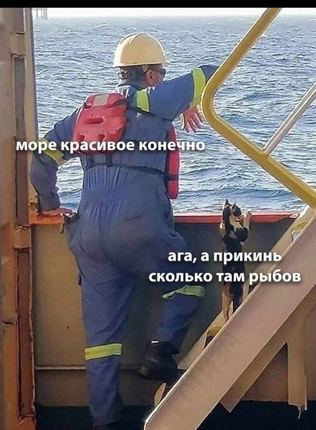 море красивое конечно
ага, а prikинь сколько там рыбов
