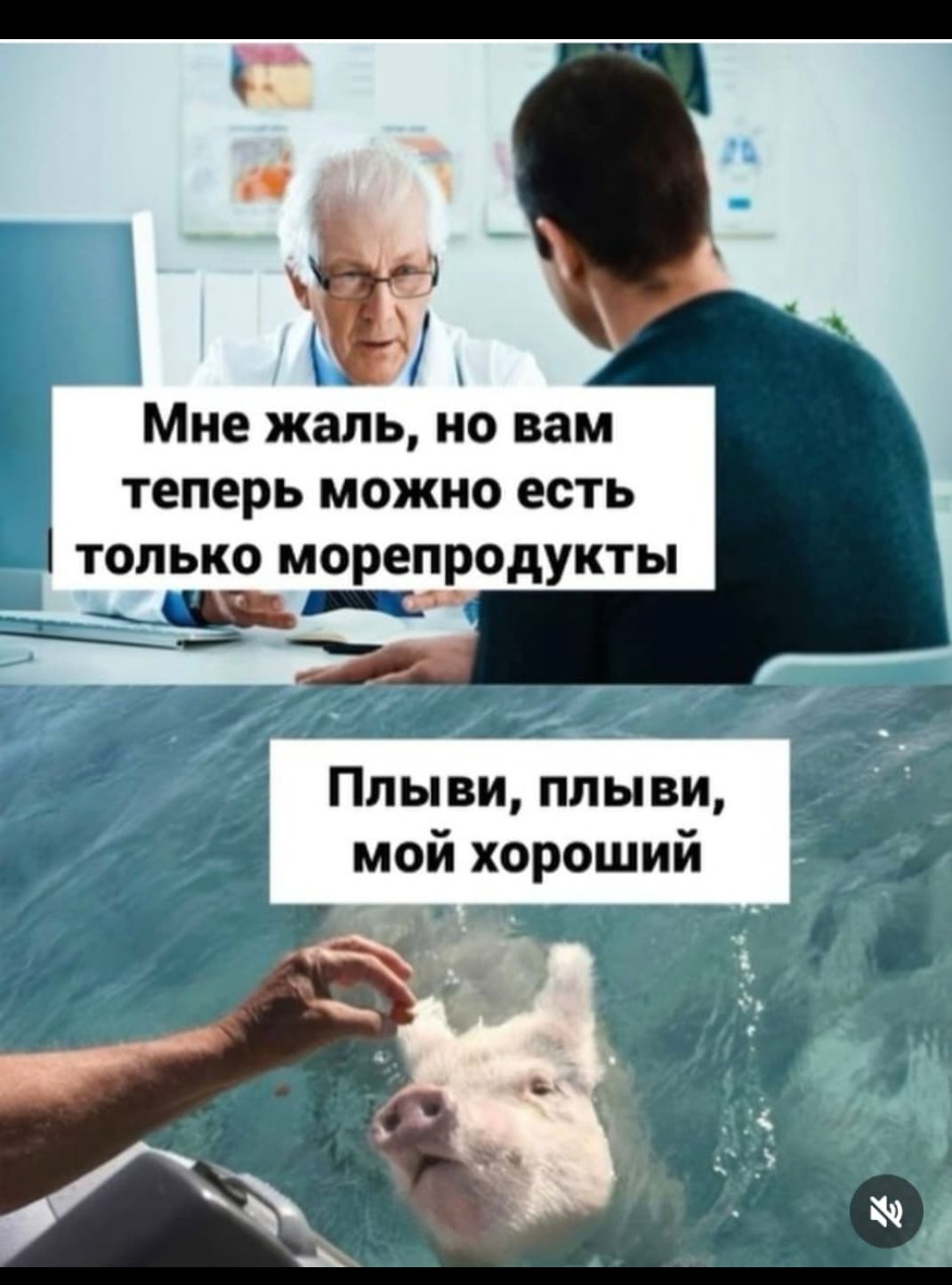 Мне жаль, но вам теперь можно есть только морепродукты
Плыви, плыви, мой хороший