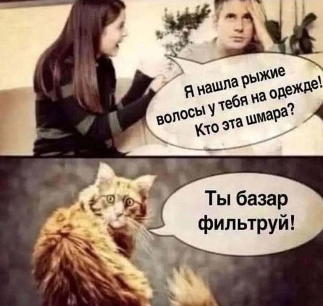 Я нашла рыжие волосы у тебя на одежде! Кто эта шмара? Ты базар фильтруй!