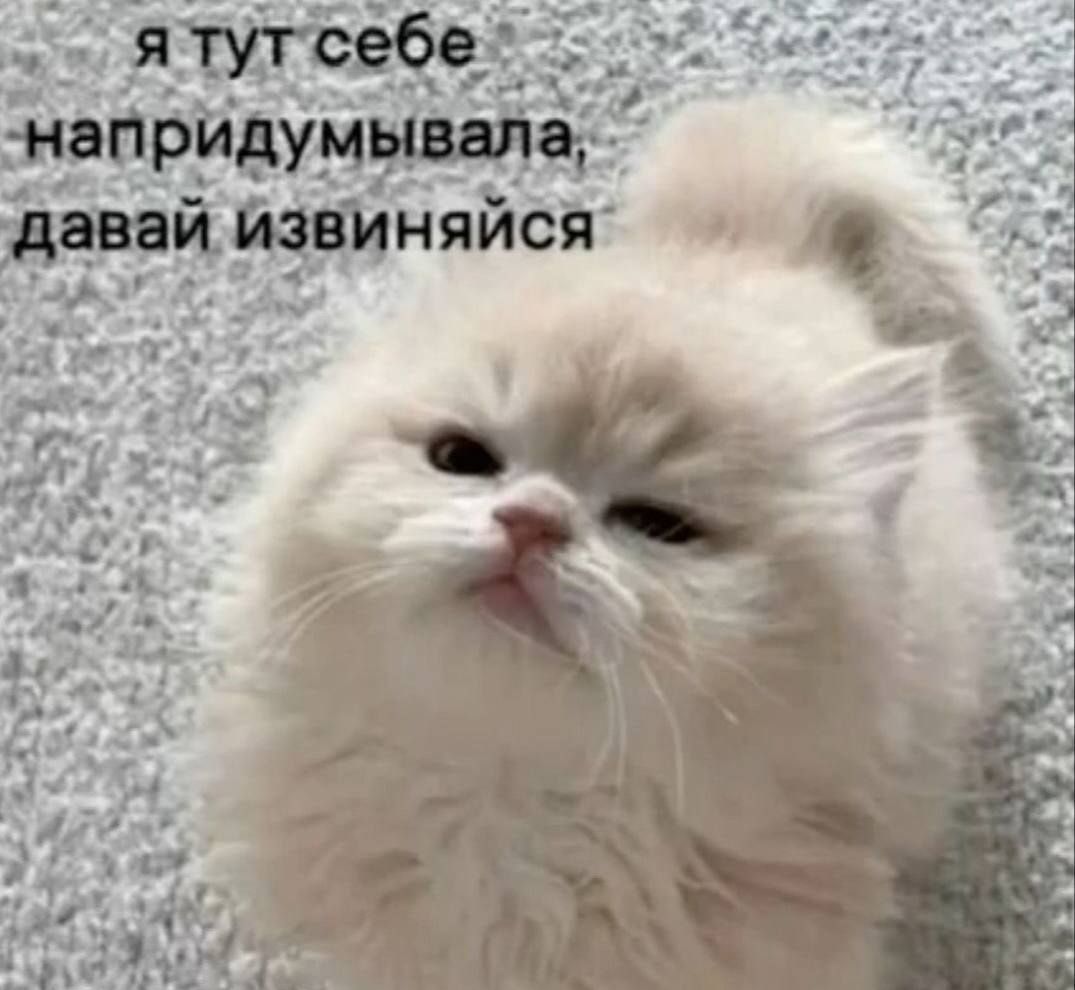 я тут себе напридумывала, давай извинись