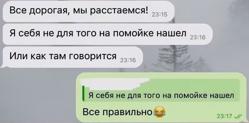 Все дорогая, мы расстаемся!
Я себя не для того на помойке нашел
Или как там говорится
Я себя не для того на помойке нашел
Все правильно😂