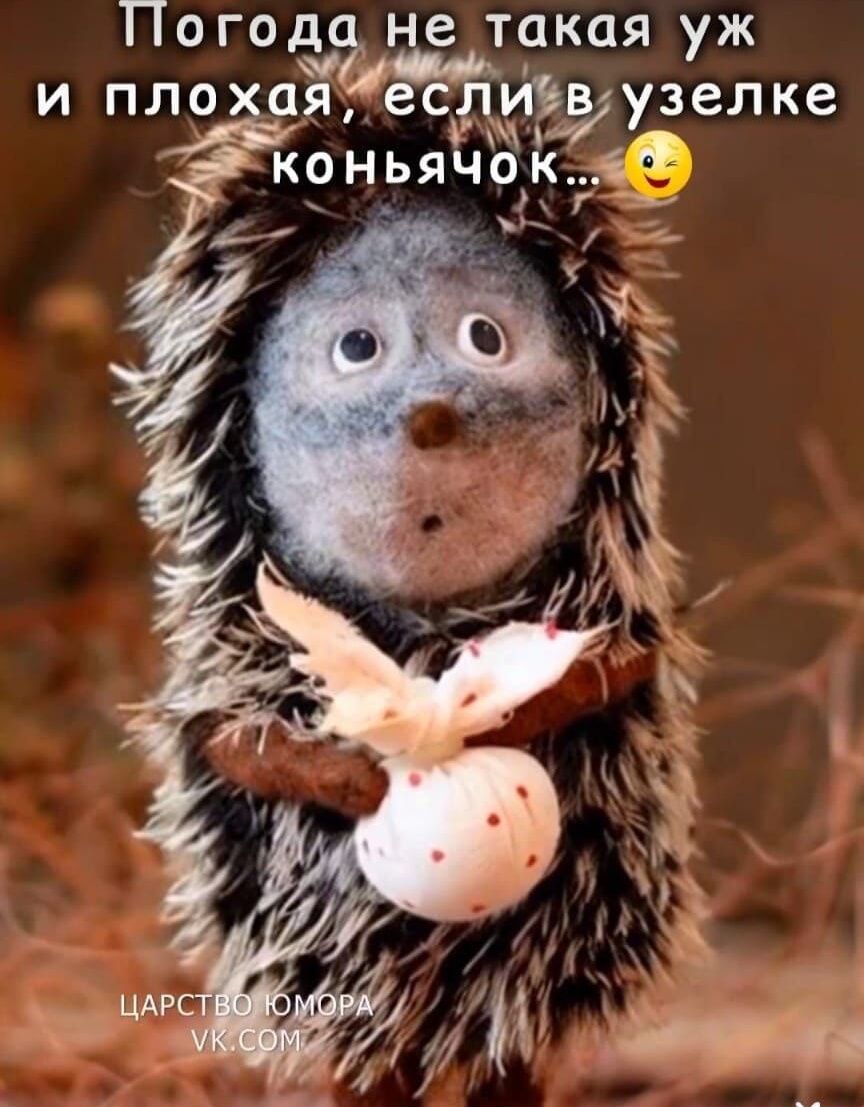 Погода не такая уж и плохая, если в узелке коньячок...