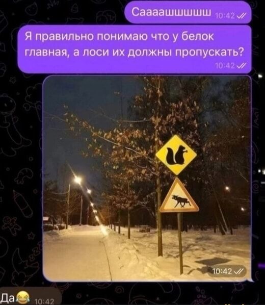 Саааашшшш
Я правильно понимаю что у белок главная, а лоси их должны пропускать?
Да😂