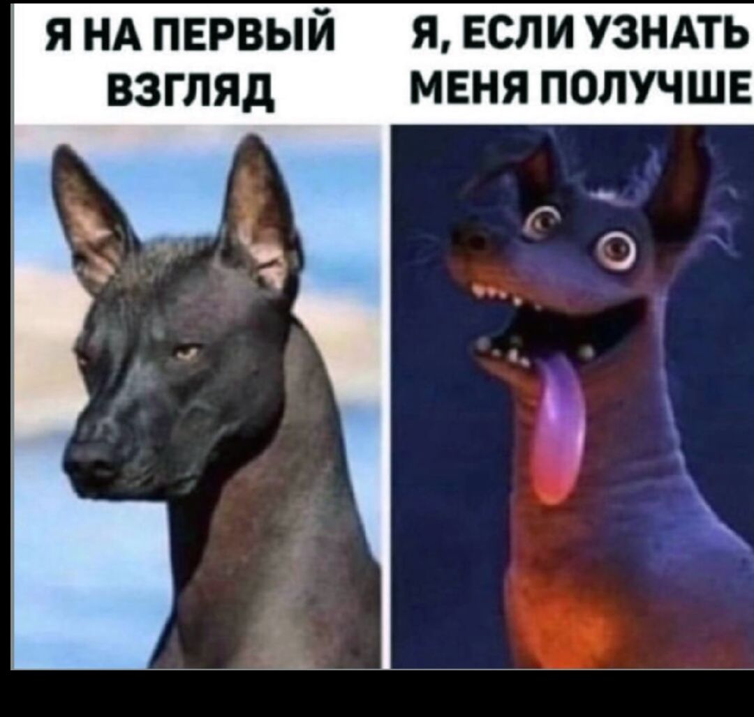 Я НА ПЕРВЫЙ ВЗГЛЯД
Я, ЕСЛИ УЗНАТЬ МЕНЯ ПОЛУЧШЕ
