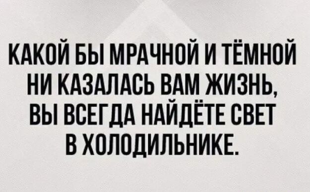 КАКОЙ БЫ МРАЧНОЙ И ТЁМНОЙ НИ КАЗАЛАСЬ ВАМ ЖИЗНЬ, ВЫ ВСЕГДА НАЙДЁТЕ СВЕТ В ХОЛОДИЛЬНИКЕ.