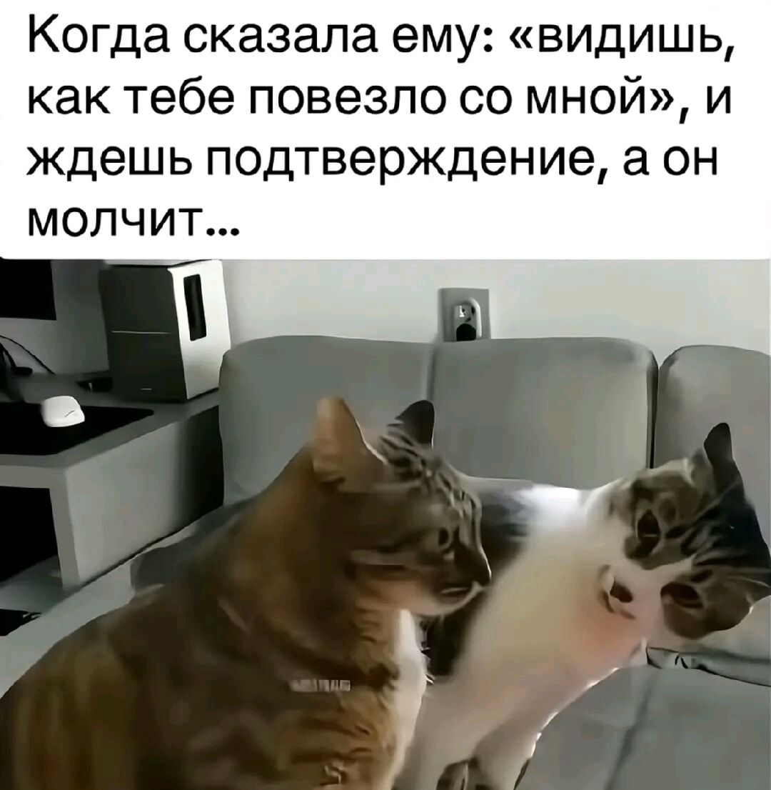 Когда сказала ему: «видишь, как тебе повезло со мной», и ждешь подтверждение, а он молчит...