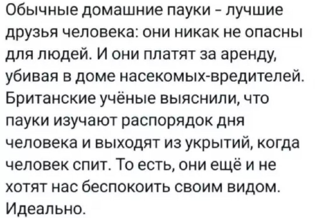 Обычные домашние пауки - лучшие друзья человека: они никак не опасны для людей. И они платят за аренду, убивая в доме насекомых-вредителей. Британские учёные выяснили, что пауки изучают распорядок дня человека и выходят из укрытий, когда человек спит. То есть, они ещё и не хотят нас беспокоить своим видом. Идеально.