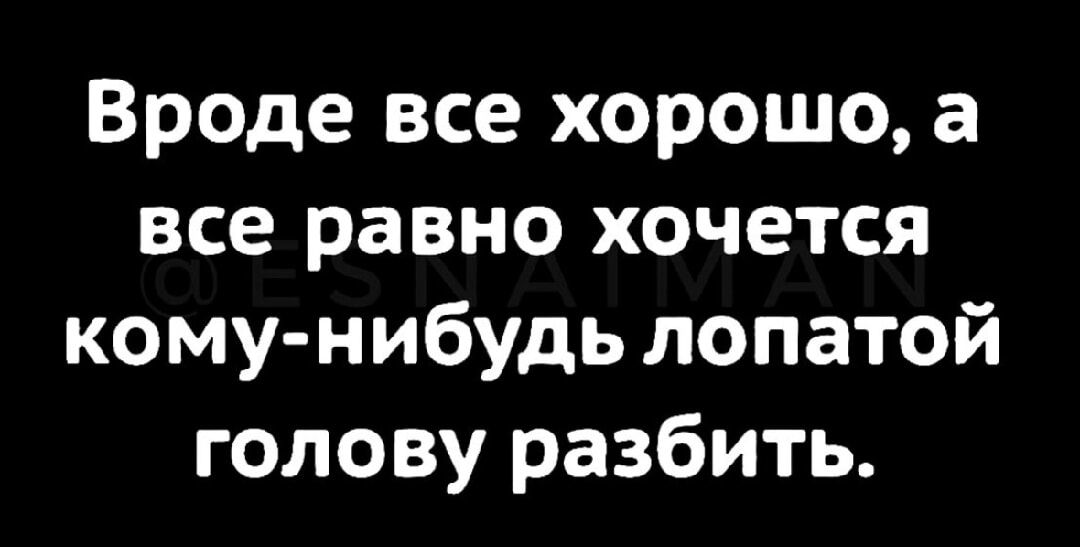 Вроде все хорошо, а все равно хочется кому-нибудь лопатой голову разбить.
