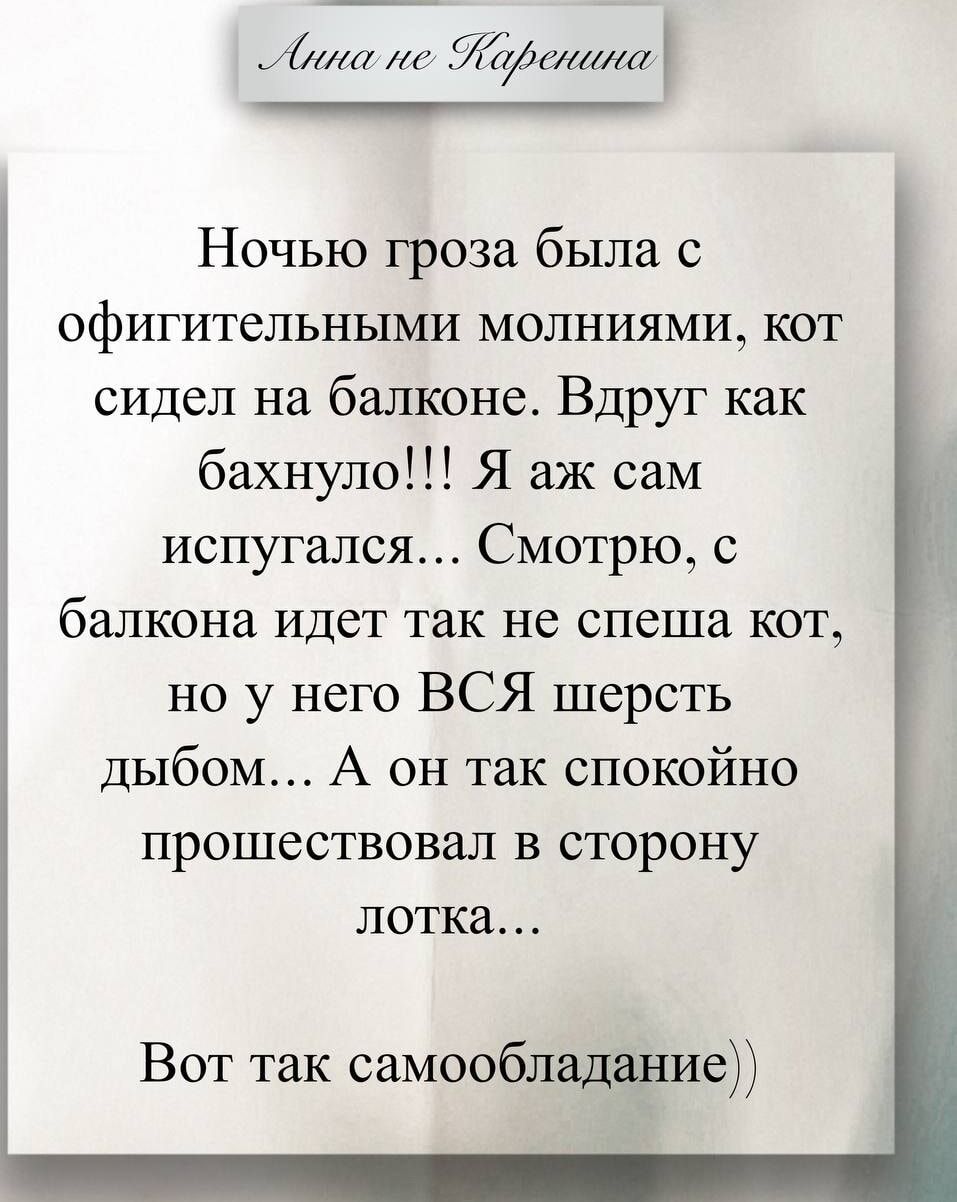 Ночью гроза была с офигительными молниями, кот сидел на балконе. Вдруг как бахнуло!!! Я аж сам испугался... Смотрю, с балкона идет так не спеша кот, но у него ВСЯ шерсть дыбом... А он так спокойно прошествовал в сторону лотка...
Вот так самообладание))