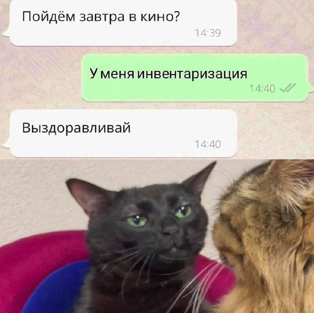 Пойдём завтра в кино?
У меня инвентаризация
Выздоравливай