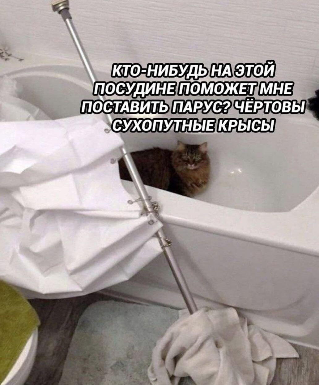 КТО-НИБУДЬ НА ЭТОЙ ПОСУДИНЕ ПОМОЖЕТ МНЕ ПОСТАВИТЬ ПАРУС? ЧЁРТОВЫ СУХОПУТНЫЕ КРЫСЫ