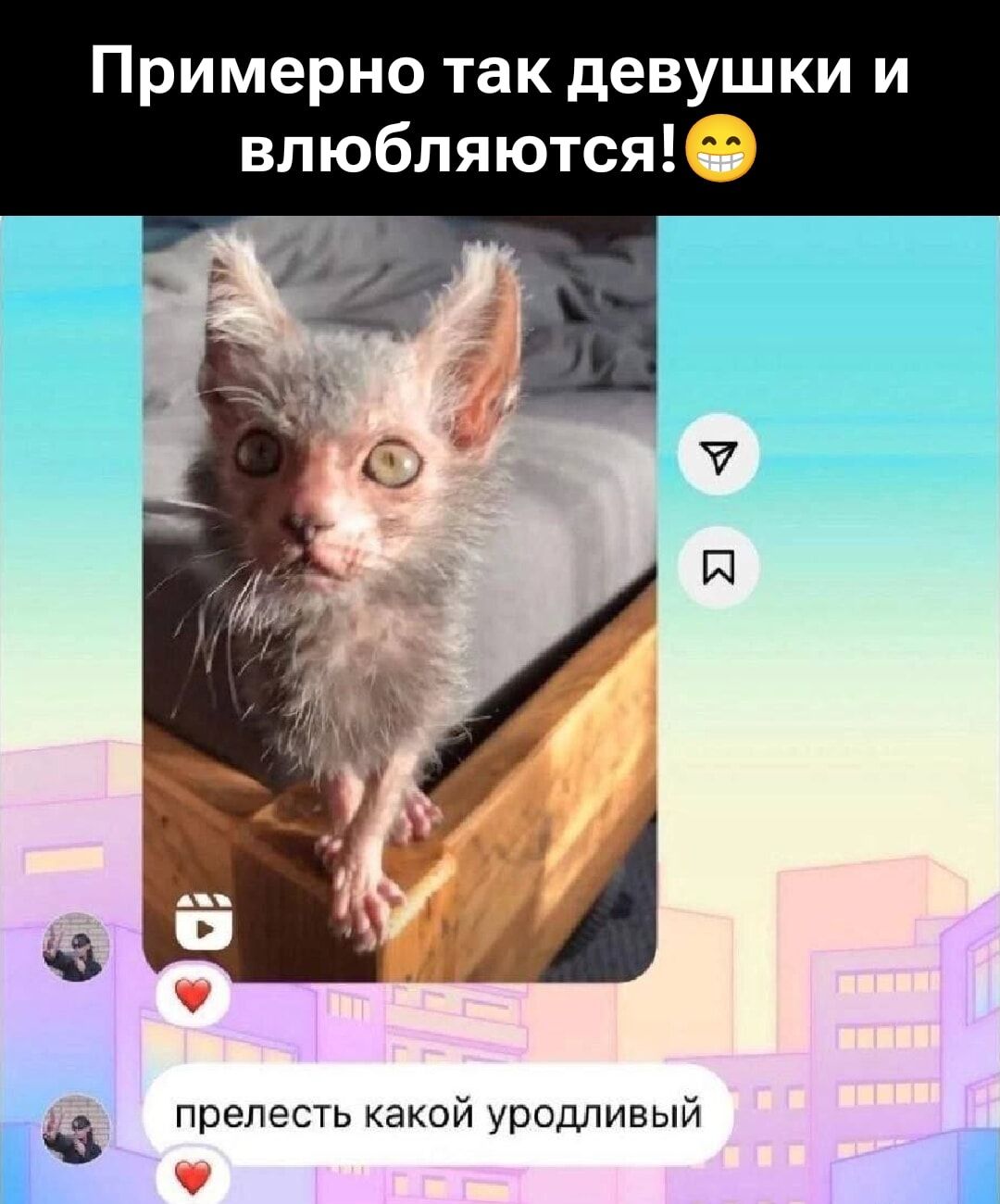 Примерно так девушки и влюбляются! 😬
прелесть какой уродливый