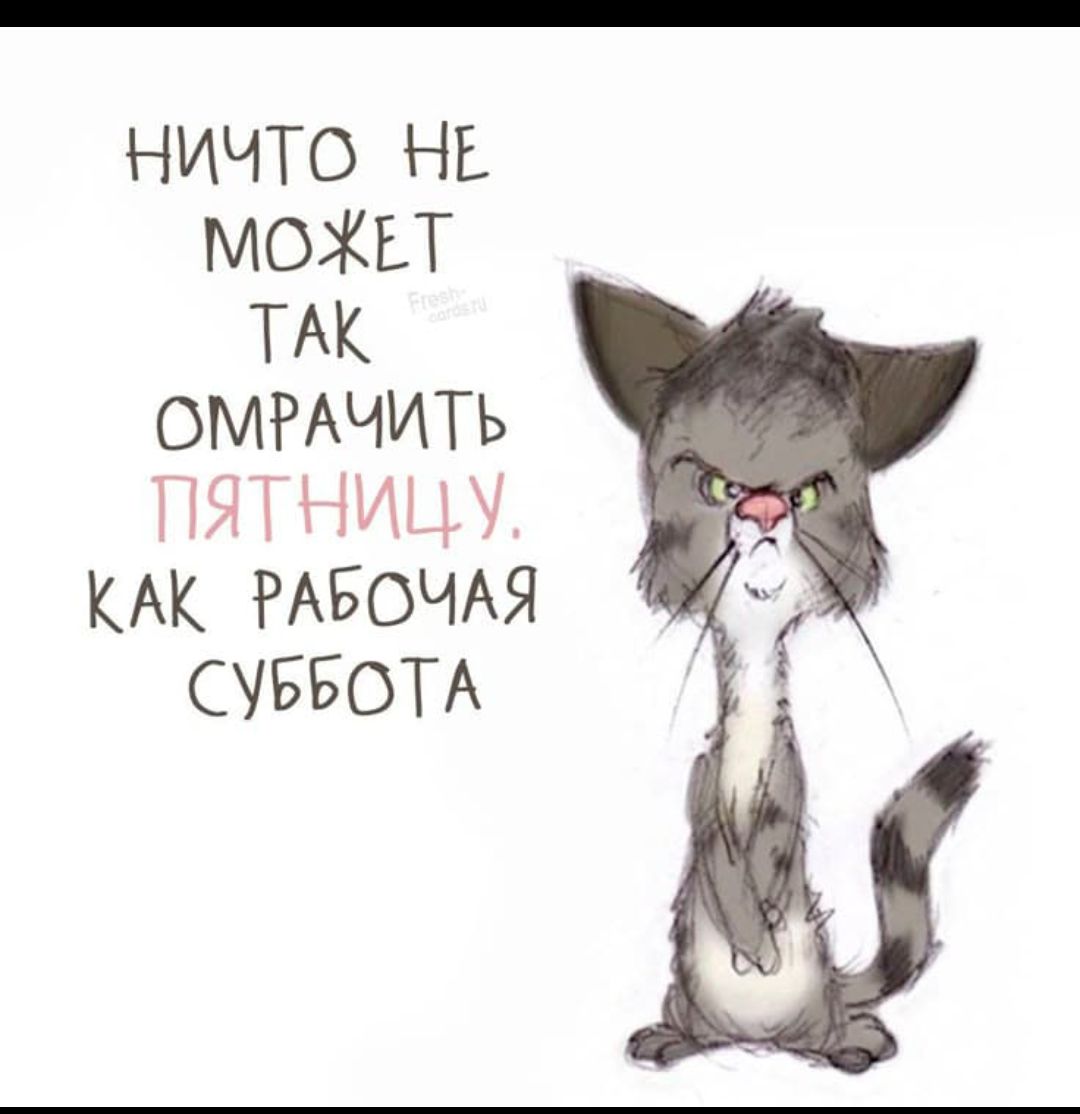 НИЧТО НЕ МОЖЕТ ТАК ОМРАЧИТЬ ПЯТНИЦУ, КАК РАБОЧАЯ СУББОТА