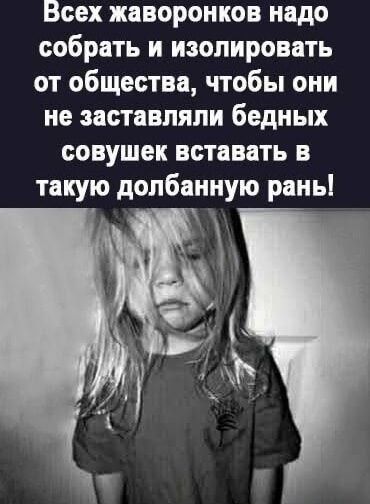 Всех жаворонков надо собрать и изолировать от общества, чтобы они не заставляли бедных совушек вставать в такую Dolбанную рану!
