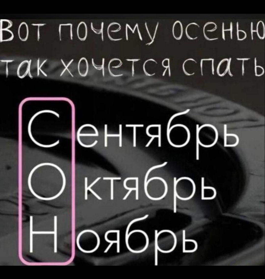 Вот почему осенью так хочется спать
Сентябрь Октябрь Ноябрь
