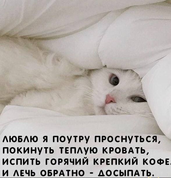 ЛЮБЛЮ Я ПОУТРУ ПРОСПУТЬСЯ, ПОКИНУТЬ ТЕПЛУЮ КРОВАТЬ, ИСПИТЬ ГОРЯЧИЙ КРЕПКИЙ КОФЕ И ЛЕЧЬ ОБРАТНО - ДОСЫПАТЬ.