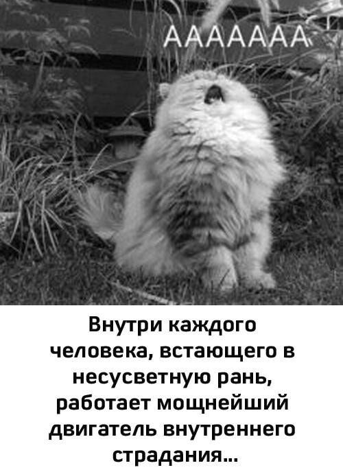 AAAAAAA\nВнутри каждого человека, встающего в несущетственную рану, работает мощнейший двигатель внутреннего страдания...