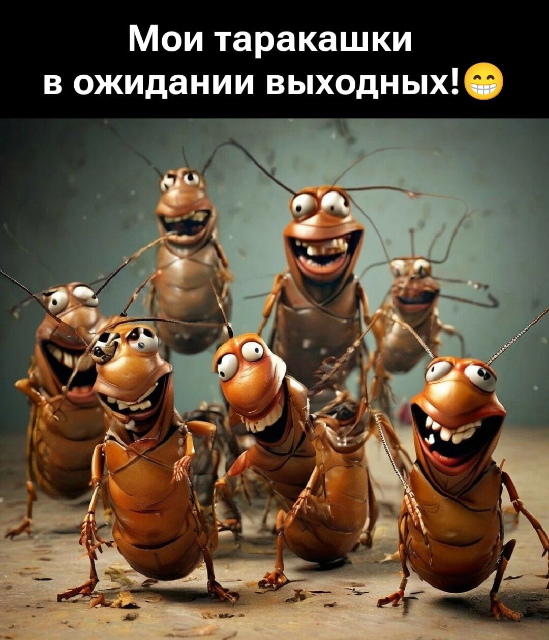 Мои таракашки в ожидании выходных! 😬