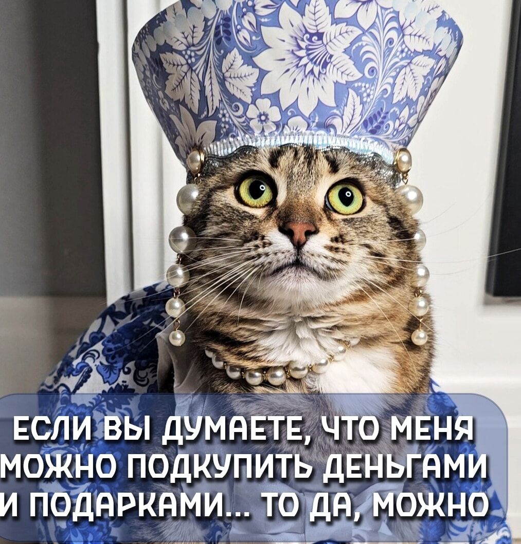 ЕСЛИ ВЫ ДУМАЕТЕ, ЧТО МЕНЯ МОЖНО ПОДКУПИТЬ ДЕНЬГАМИ И ПОДАРКАМИ... ТО ДА, МОЖНО