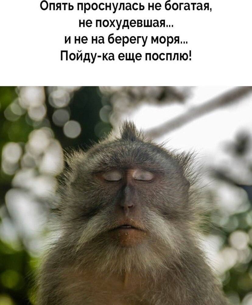 Опять проснулась не богатая, не похудевшая... и не на берегу моря... Пойду-ка еще посплю!