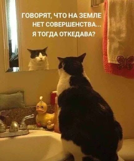 ГОВОРЯТ, ЧТО НА ЗЕМЛЕ НЕТ СОВЕРШЕНСТВА... Я ТОГДА ОТКЕДАВА?