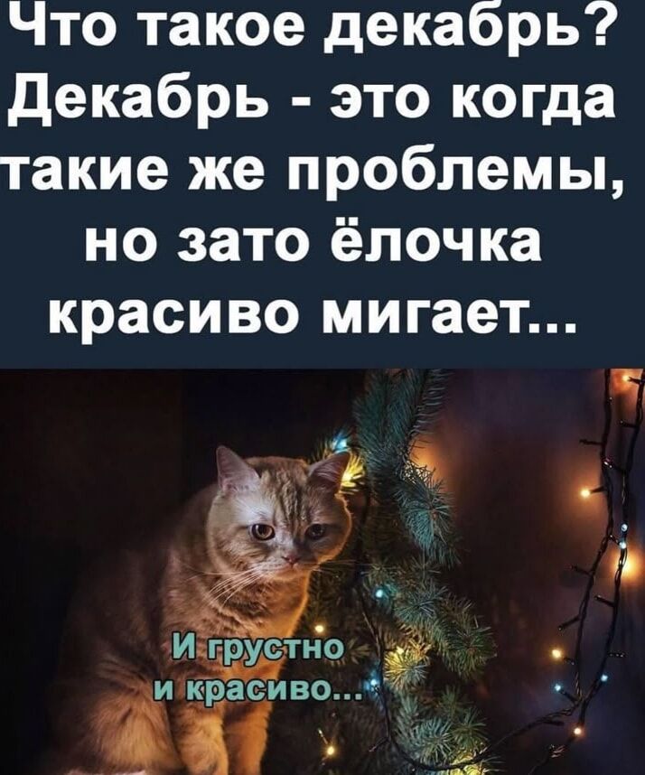 Что такое декабрь? Декабрь — это когда такие же проблемы, но зато ёлочка красиво мигает... И грустно и красиво...
