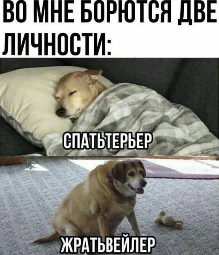 ВО МНЕ БОРЮТСЯ ДВЕ ЛИЧНОСТИ: СПАТТЕРЬЕР ЖРАТЬВЕЙЛЕР