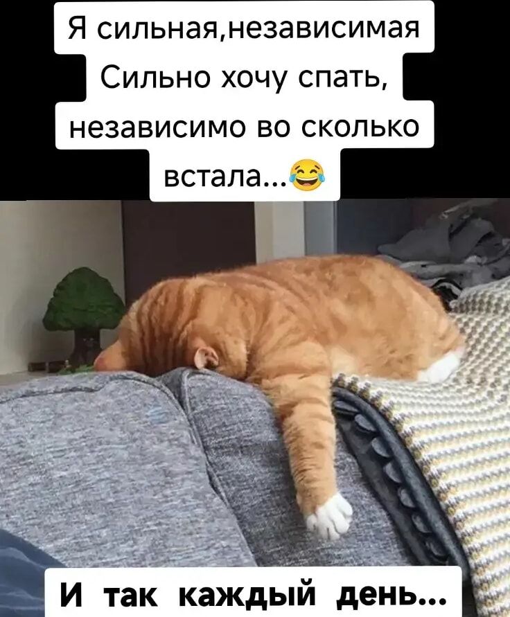 Я сильная, независимая. Сильно хочу спать, независимо во сколько встала...😂