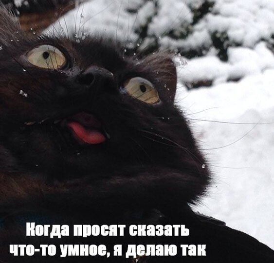 Когда просят сказать сказать что-то умное, я делаю так