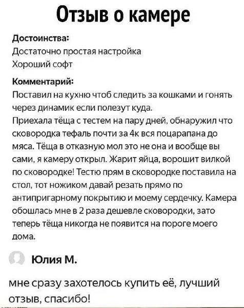 Отзыв о камере. Достоинства: простая настройка, хороший софт. Комментарий: Поставил на кухню следить за кошками. Тёща и тесть приехали, и начинается абсурд: жарят яйца вилкой по сковородке, тесто режут ножом. Камера обошлась в 2 раза дешевле сковородки.