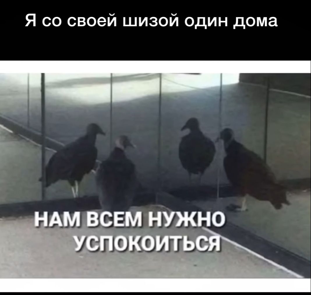Я со своей шизой один дома
НАМ ВСЕМ НУЖНО УСПОКОИТЬСЯ