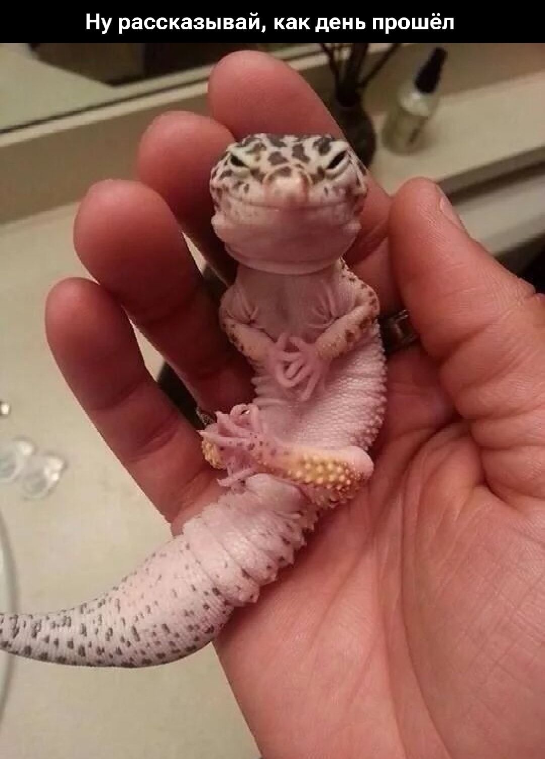 Ну рассказывай, как день прошёл