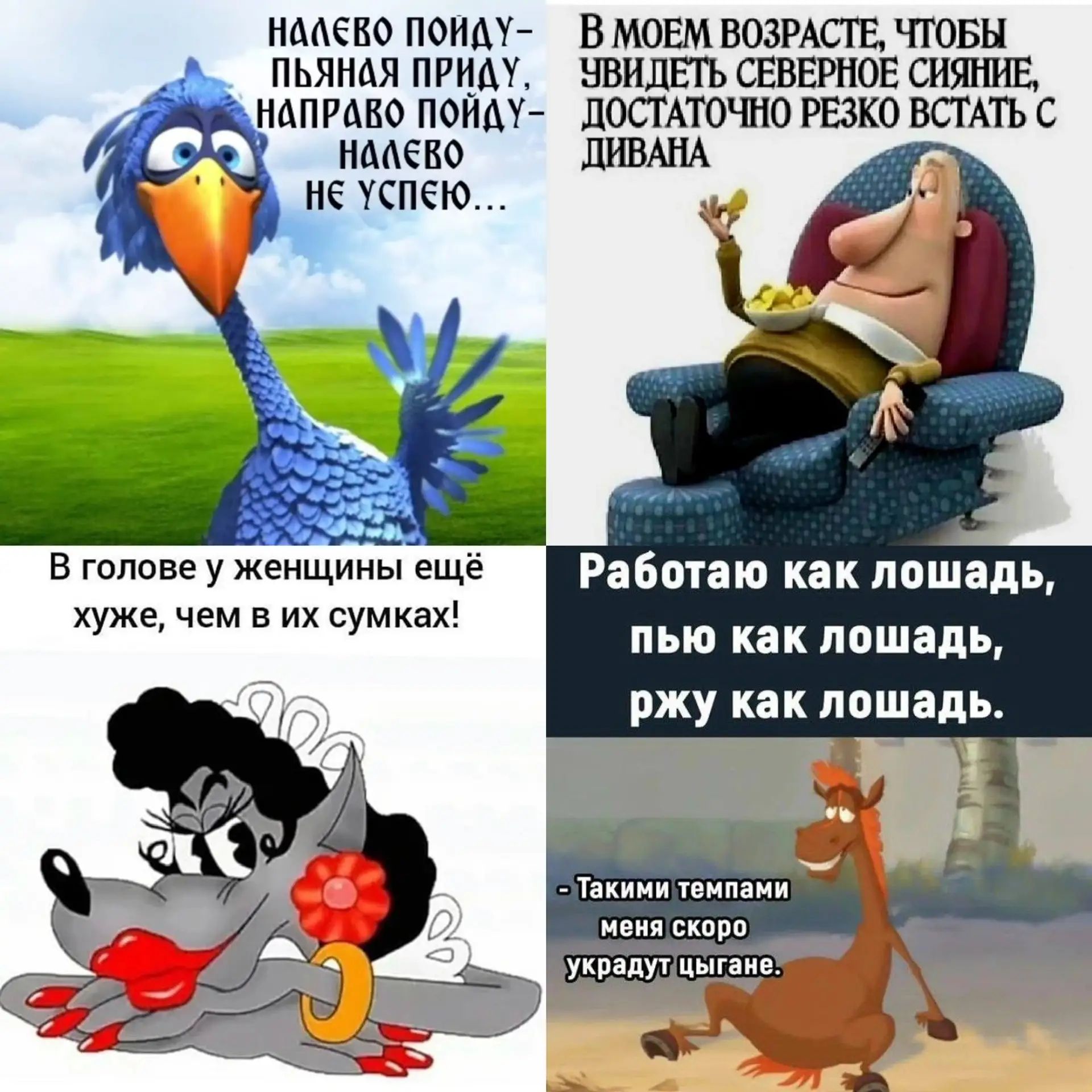 Налево пойду — пьяная птица, направо пойду — нас… не успею. В моем возрасте, чтобы увидеть северное сияние, достаточно резко встать. В голове у женщины ещё хуже, чем в их сумках! Работаю как лошадь, пью как лошадь, ржу как лошадь. - Таким темпами меня скоро украдут цыганы.