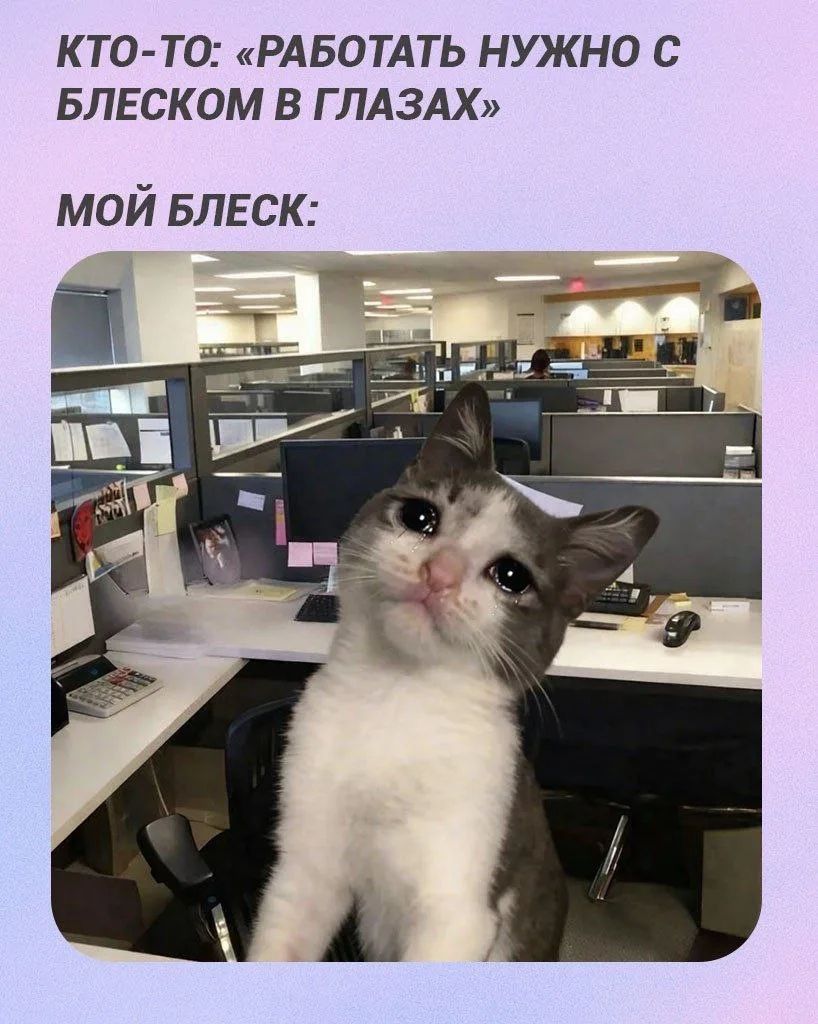 КТО-ТО: «РАБОТАТЬ НУЖНО С БЛЕСКОМ В ГЛАЗАХ» МОЙ БЛЕСК: