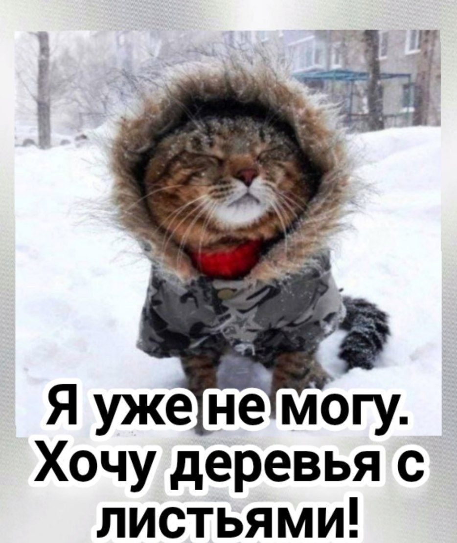 Я уже не могу. Хочу деревья с листьями!