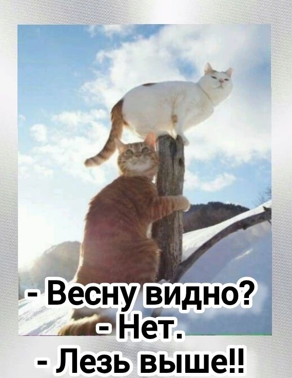 - Весну видно? - Нет. - Лезь выше!!