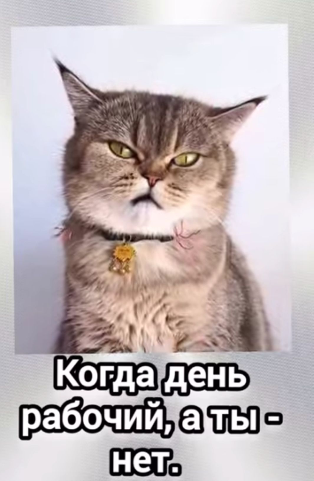 Когда день рабочий, а ты - нет.