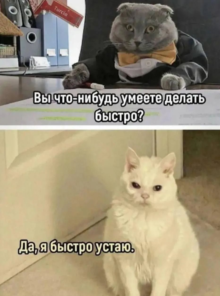 Вы что-нибудь умеете делать быстро?\nДа, я быстро устaю.