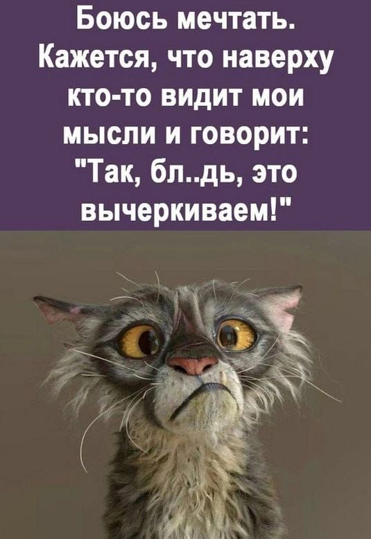 Боюсь мечтать Кажется что наверху кто то видит мои мысли и говорит Так блдь это вычеркиваем