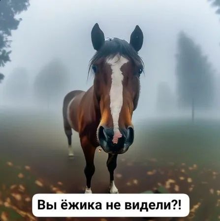 ь Вы ёжика не видели