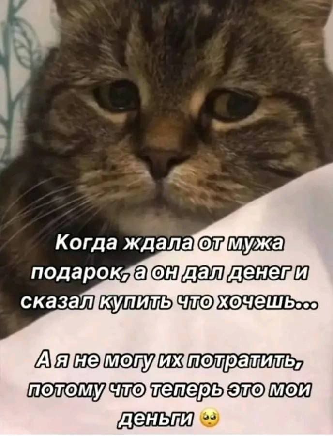 Когда ждалаещмужа подароклаонгдалтденещи сказалкупилычто РАнемопуижполратильы Гполомудчтоутеперыэломой Уденьдир