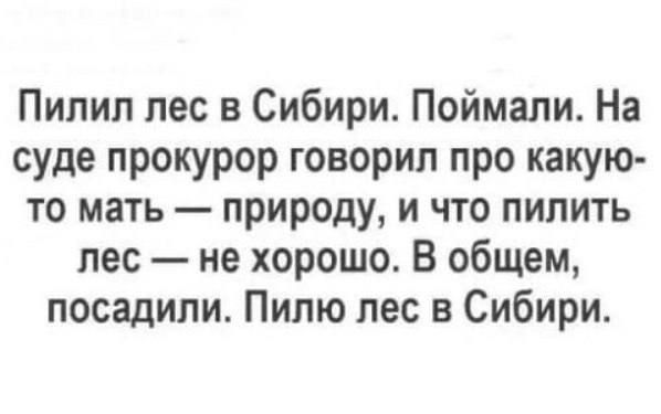 Пилил лес в Сибири Поймали На суде прокурор говорил про какую то мать природу и что пилить лес не хорошо В общем посадили Пилю лес в Сибири