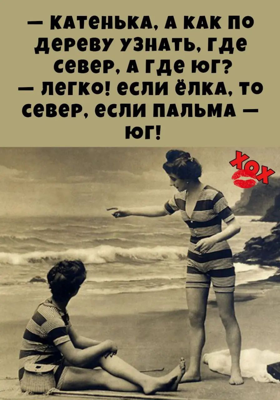 — Катенька, а как по дереву узнать, где север, а где юг? — Легко! если ёлка, то север, если пальма — юг!