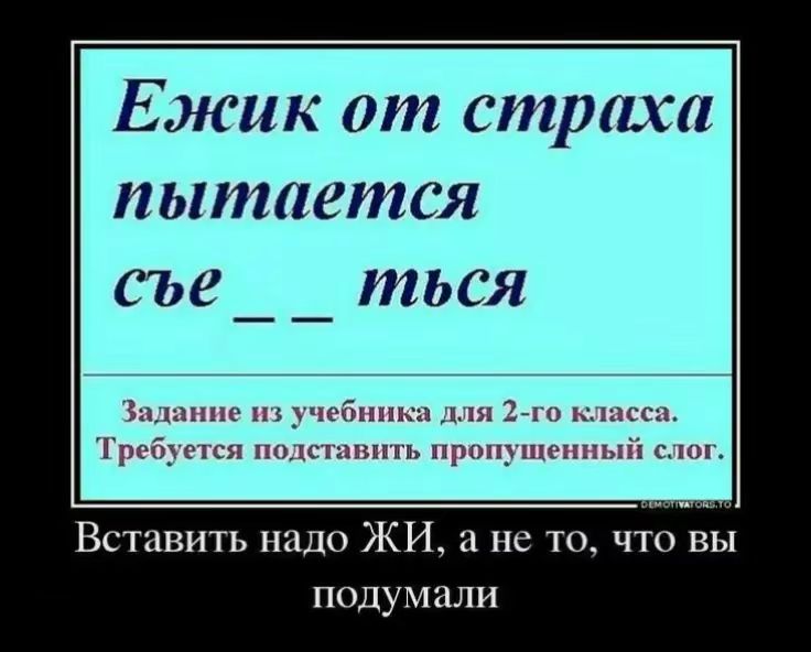 Ежик от страха пытается съе _ _ тыс я
Задание из учебника для 2-го класса. Требуется подставить пропущенный слог.
Вставить надо ЖИ, а не то, что вы подумали